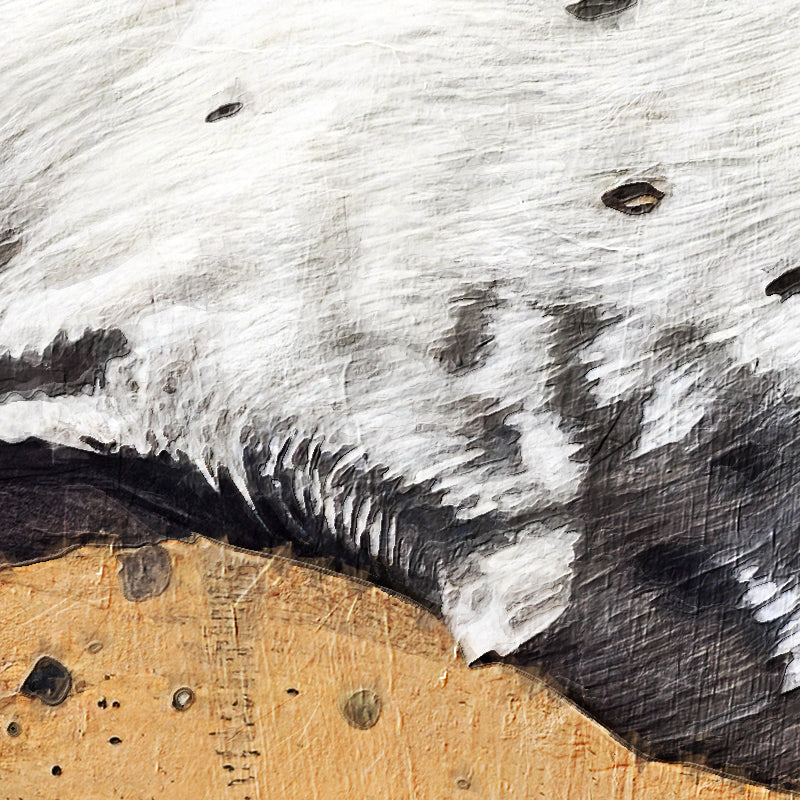 fragment copy797.jpg