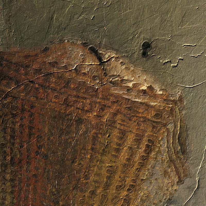 fragment_c-1319.jpg