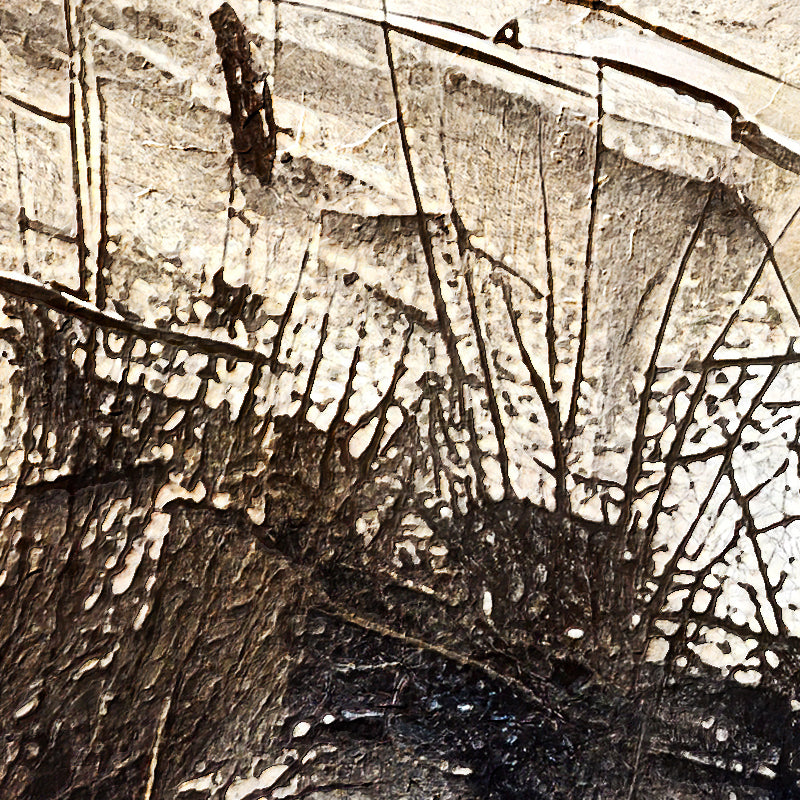 fragment_c-1345.jpg