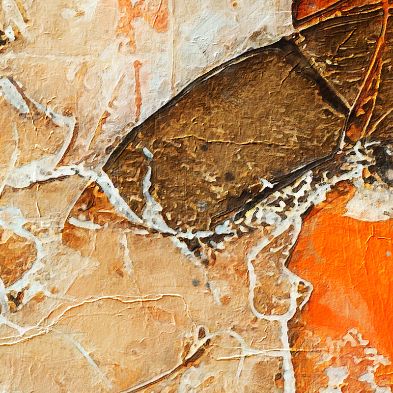 fragment_c-1354.jpg