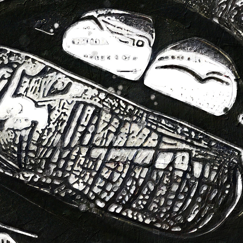 fragment_c-1373.jpg