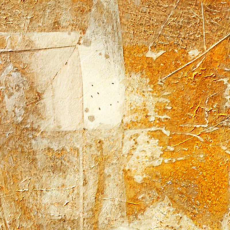fragment_c-1383.jpg