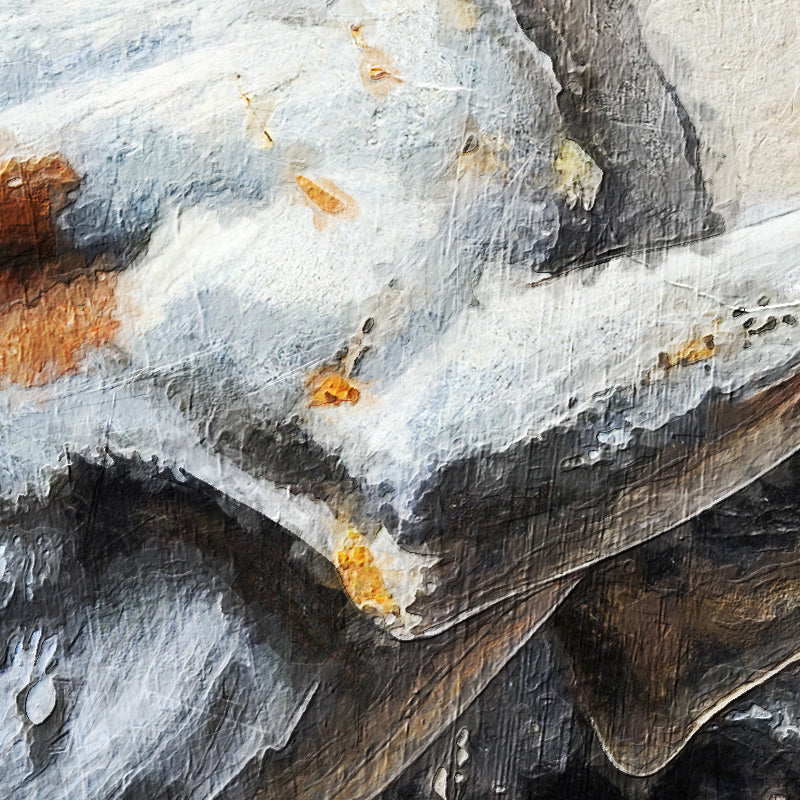 fragment_c-1396.jpg