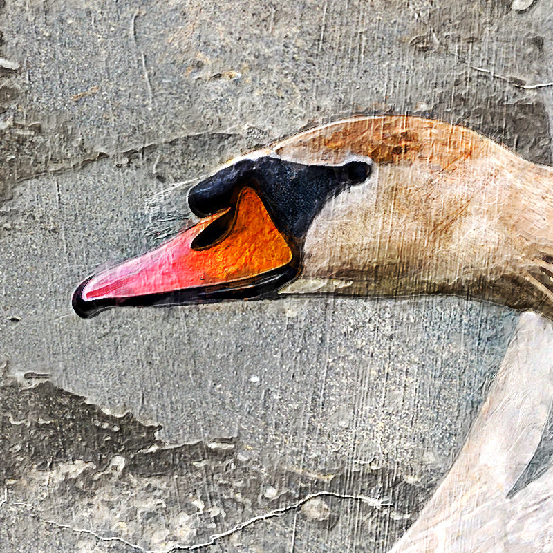 fragment_c-1482.jpg