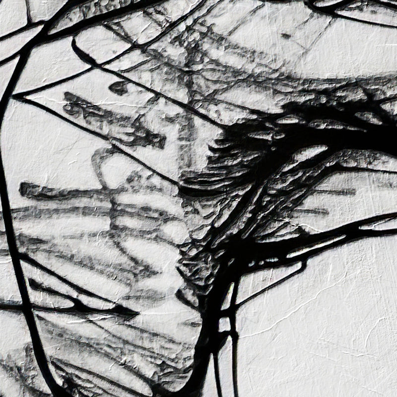 fragment_c-1506.jpg