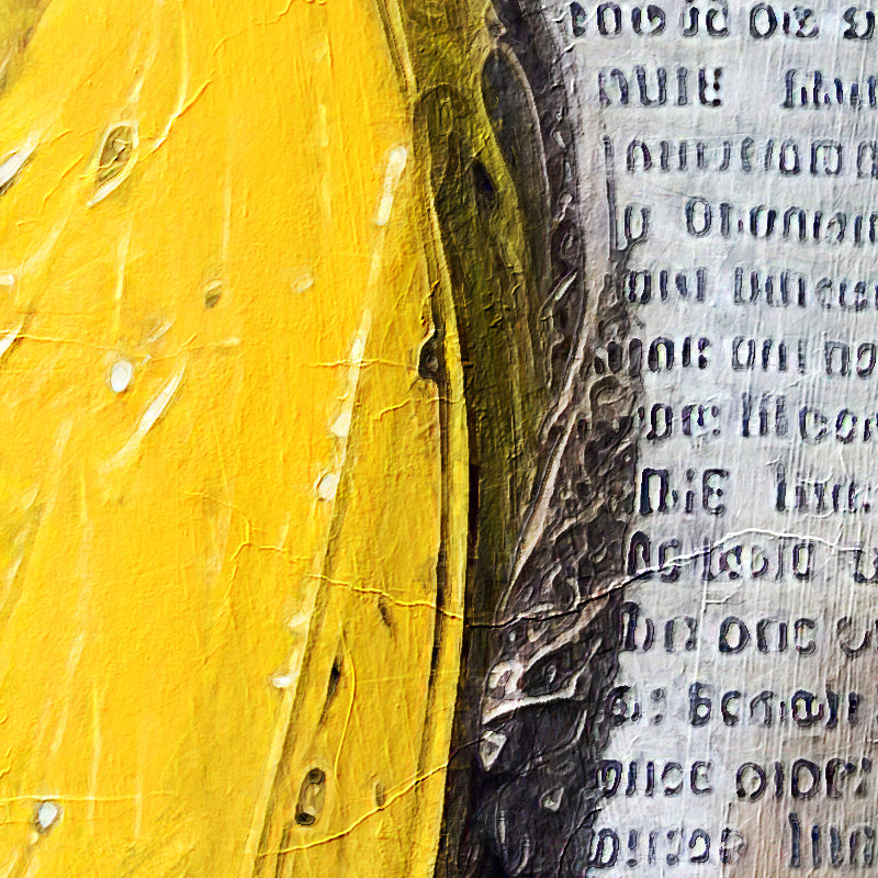 fragment_c-1511.jpg