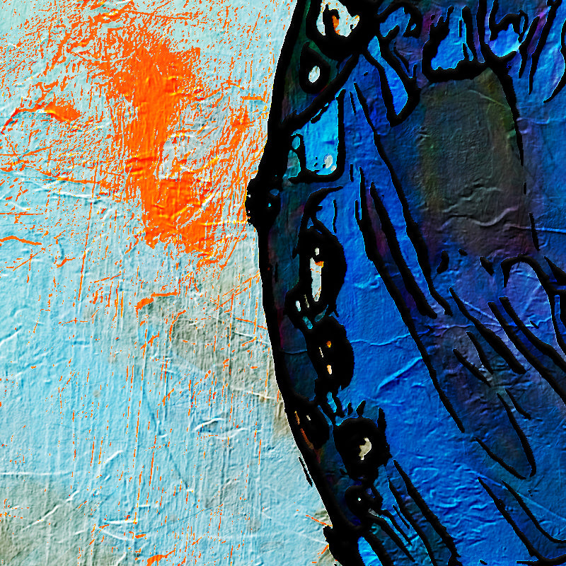 fragment_co-218.jpg