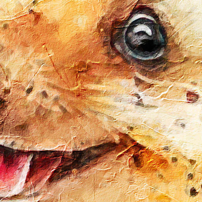 fragment_co-288.jpg
