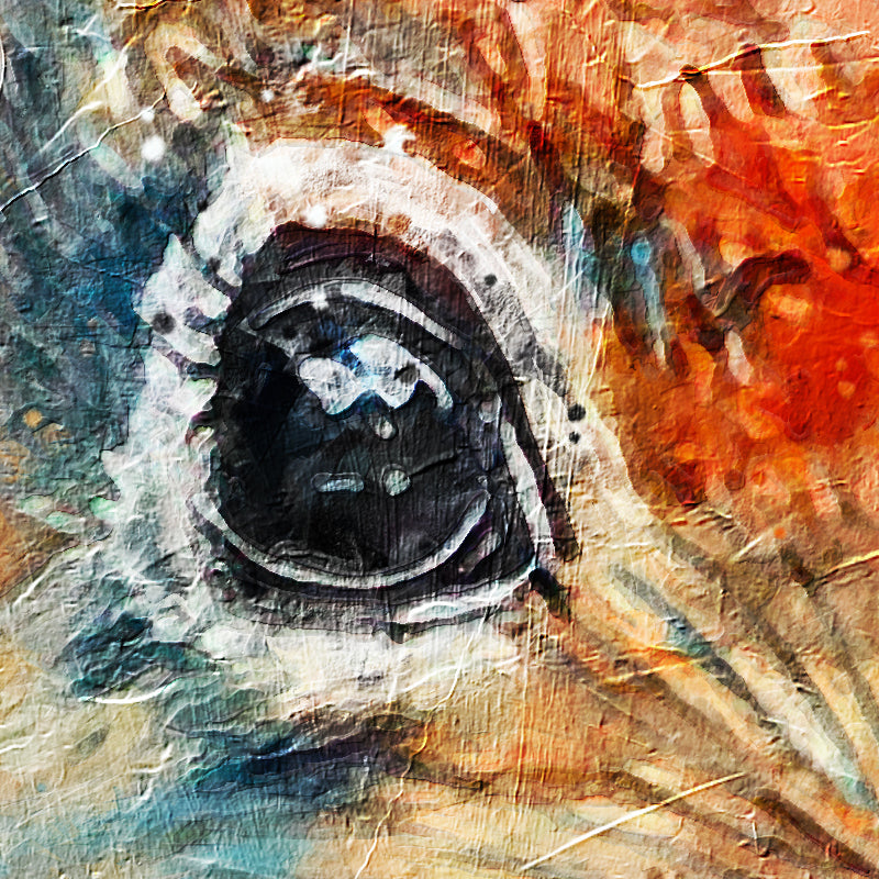 fragment_co-312.jpg