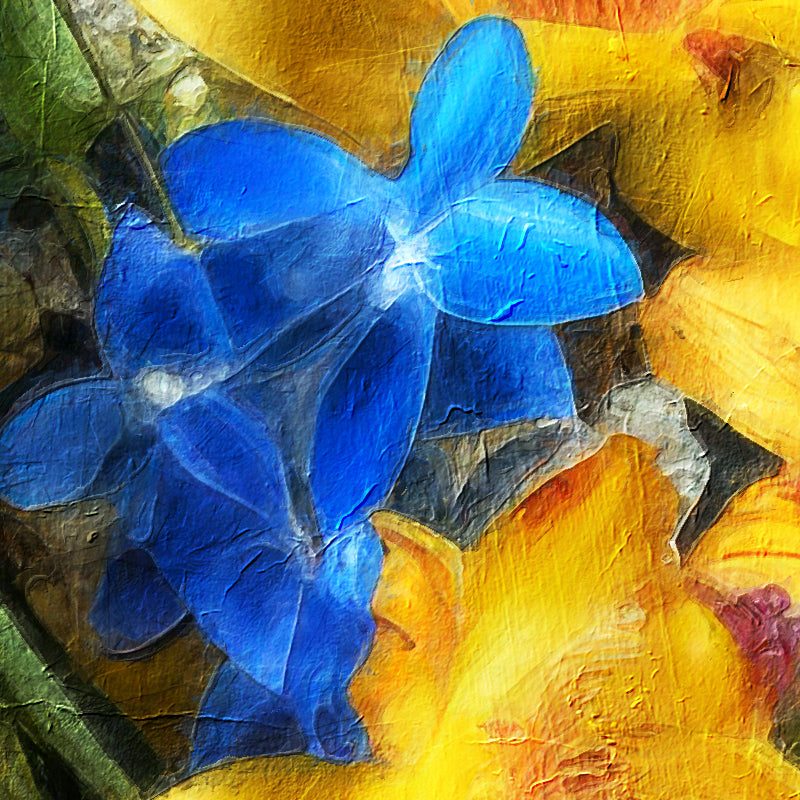 fragment_co-727.jpg