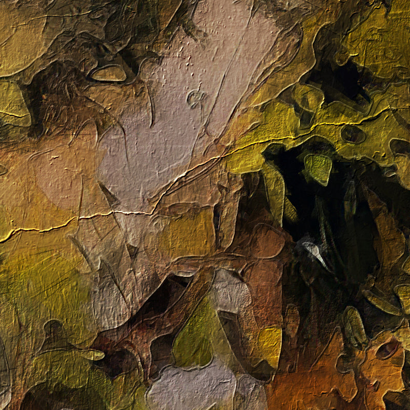 fragment_co-946.jpg