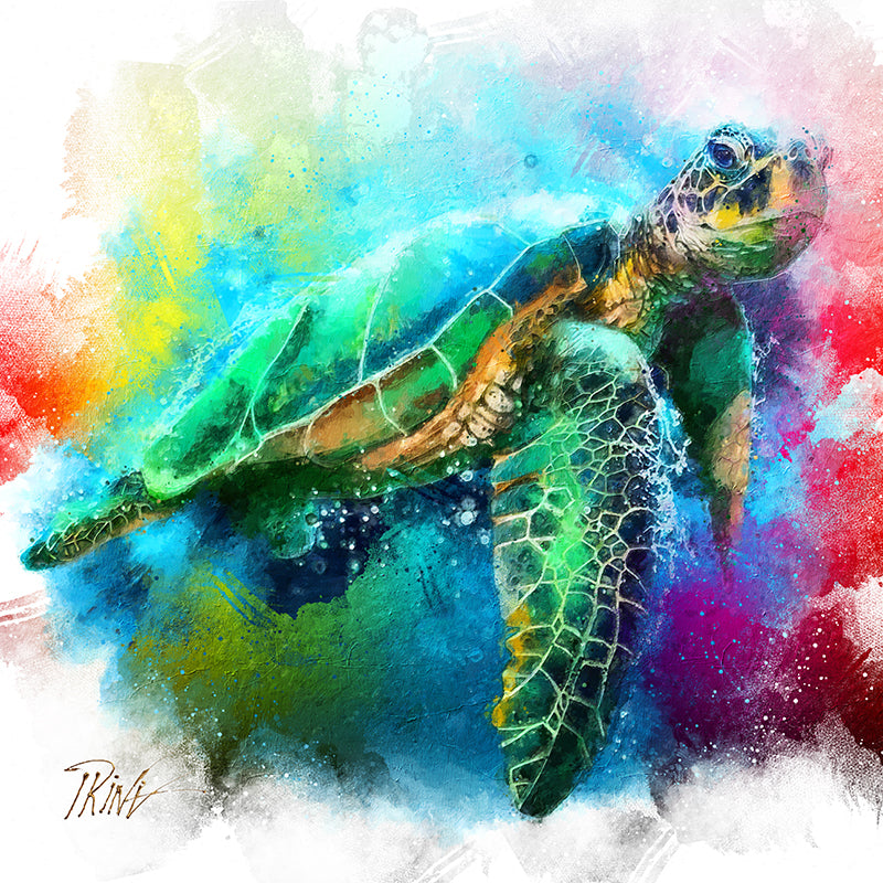 t-159.jpg