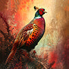 Fasan