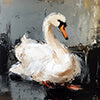 Schwan