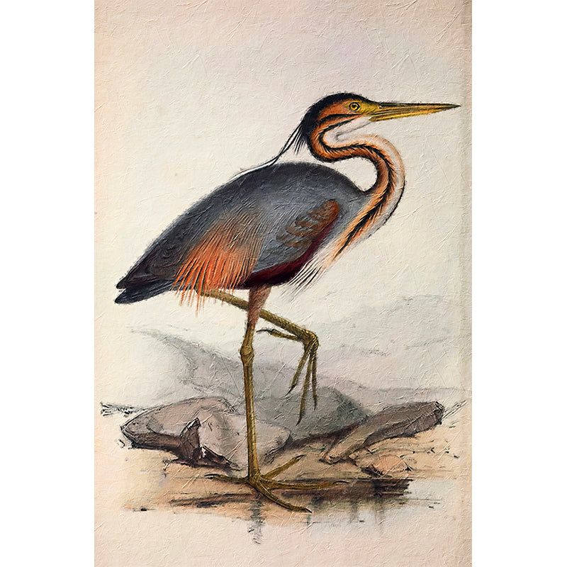 Storch Vogel