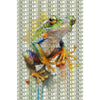 Glücksfrosch oder Feng Shui