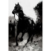 Pferd 1919