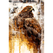 Steinadler