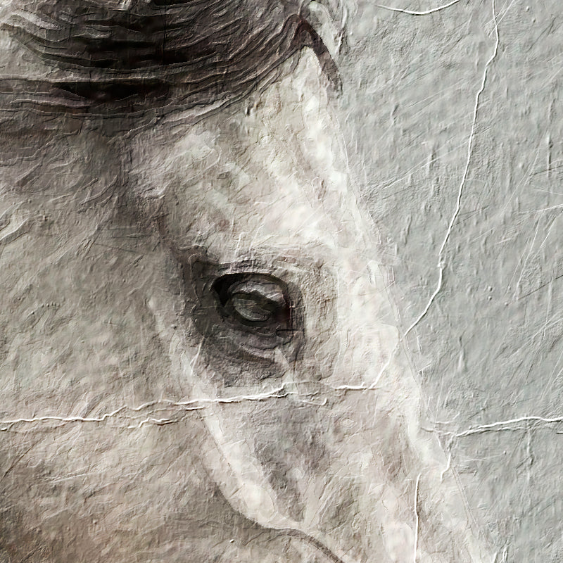 Pferd Nr. 5
