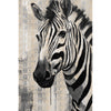 Zebra Q