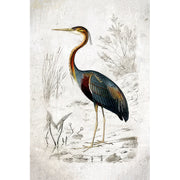 Japanischer Vogel
