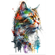 Fröhliche Katze