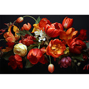 Tulpenkollektion