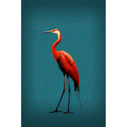 Roter Ibis
