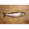 Hering
