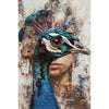 Pfau mit Weibchen