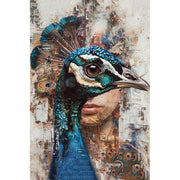 Pfau mit Weibchen