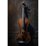 Die zweite Violine