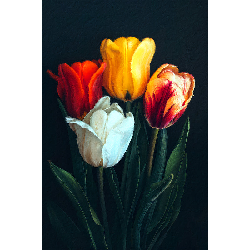 Holländische Tulpen