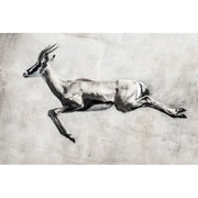 Hirschartige Art