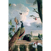 Amsterdamer Palast mit exotischen Vögeln - Melchior d’Hondecoeter