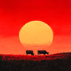 Käfige bei Sonnenuntergang