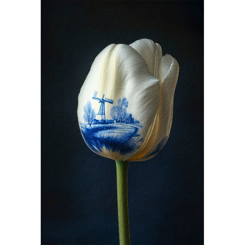 Eine Tulpe im Delfter Stil