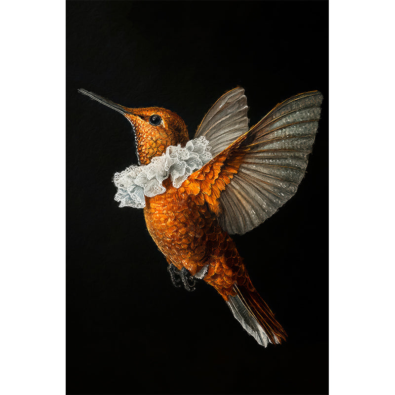 Kolibri