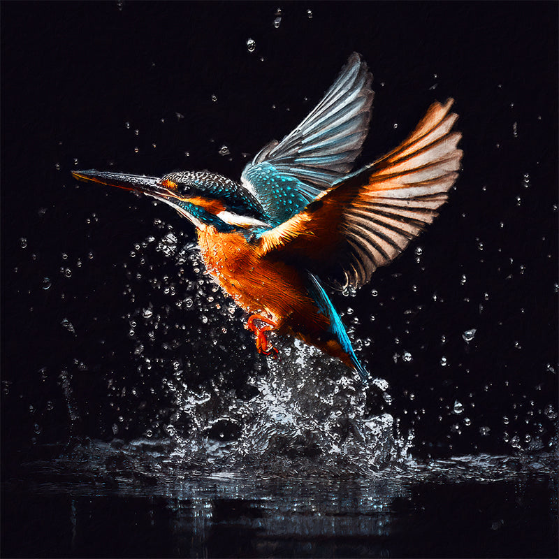 Eisvogel-Gemälde
