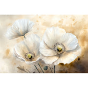 Weiße Mohnblumen