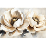 Weiße Mohnblumen II
