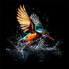 Das Eisvogel-Gemälde II