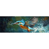 Eisvogel am Fluss