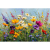 Wilde Blumen in Farbe