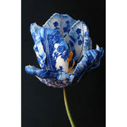 Tulpe im Delfter-Blau-Stil