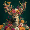 Hirsch Wilde Pracht II