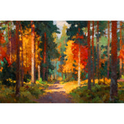 Wald mit hohen Bäumen