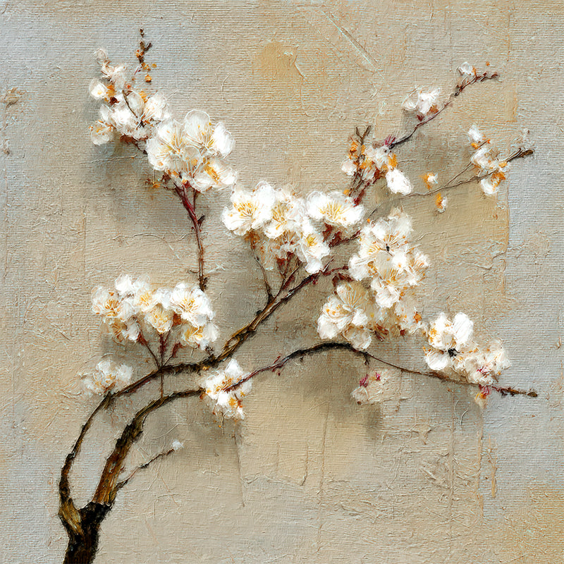 63802.jpg