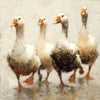 Vier Gänse