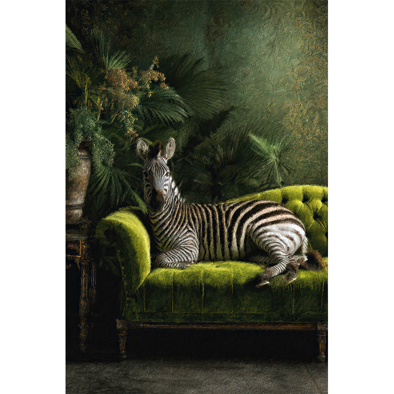 Elegantes Zebra